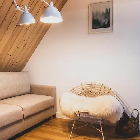 Dağ evi Czarne Wierchy Premium *